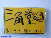 PHOTO[ϩ�����ۥơ���]