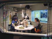 PHOTO[�ݥ��о�]